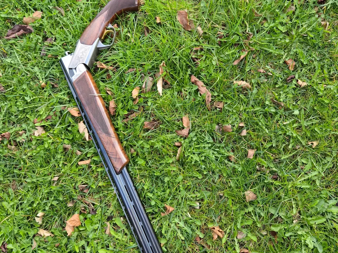 Browning cynergy