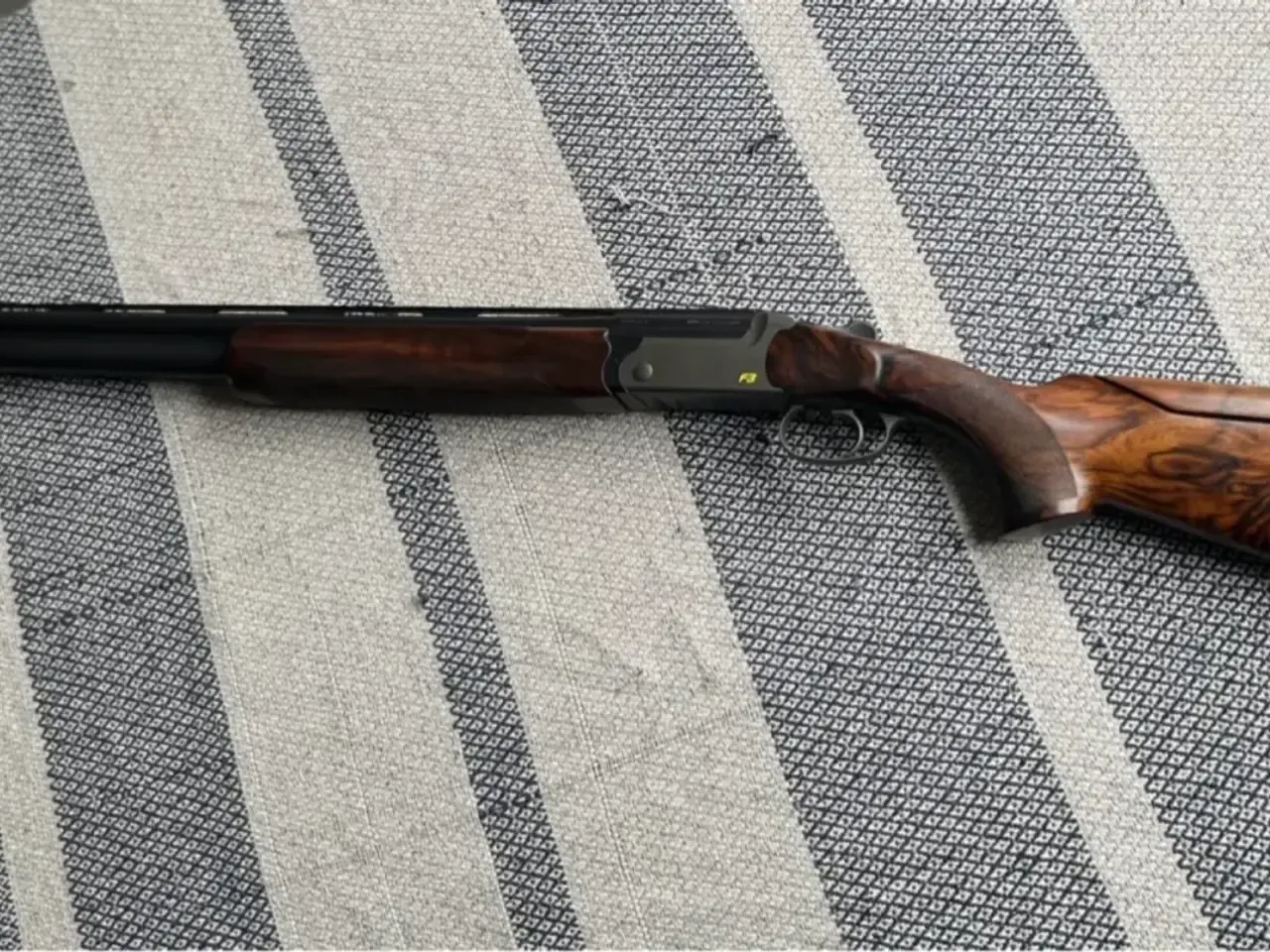 Blaser f3