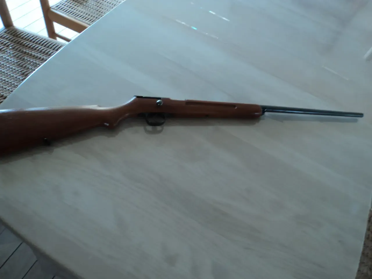 Enkeltløbet haglgevær cal. 45.