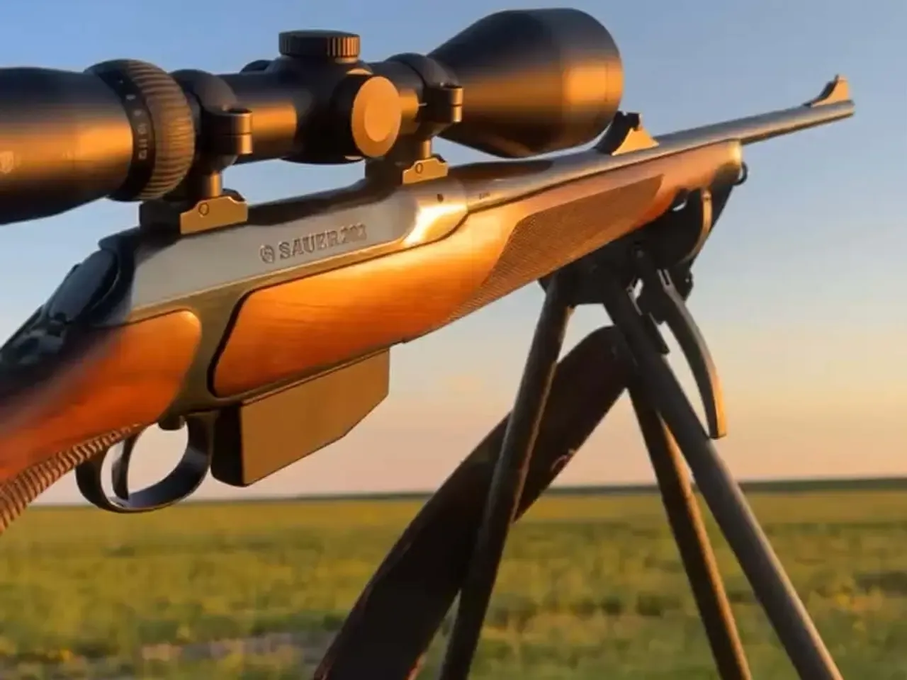 SAUER 202, 270 WIN LINKS