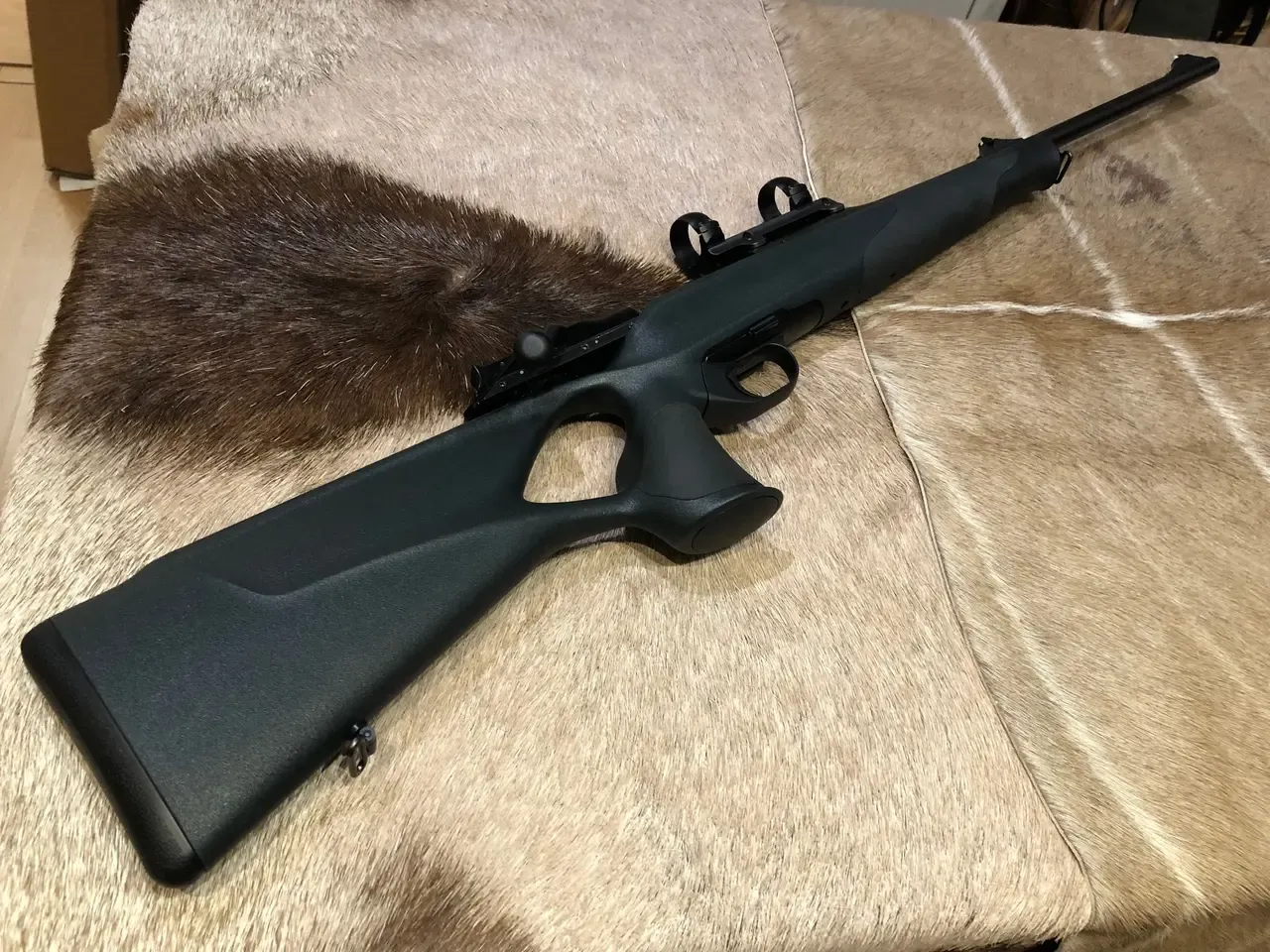 Blaser R8 Professional Success