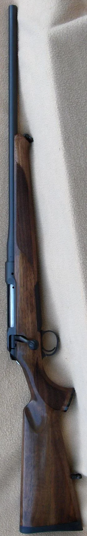 Sauer 101 .308 Win.